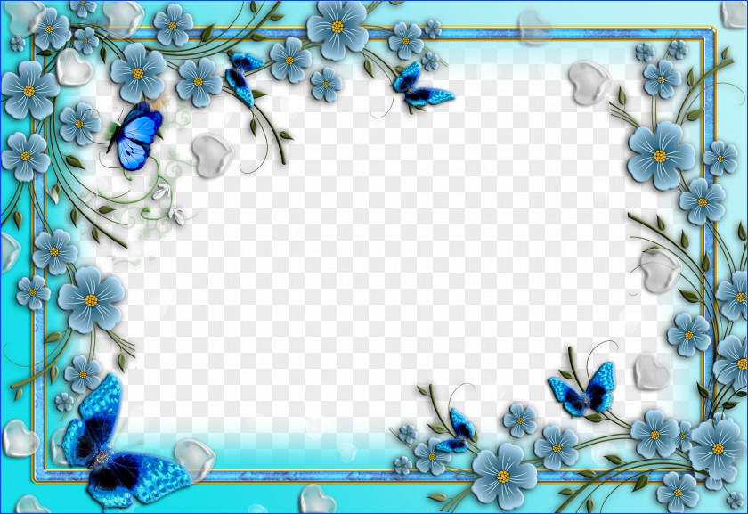 Floral Border Picture Frames PNG