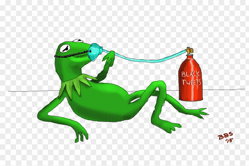 Frog Tree Reptile PNG