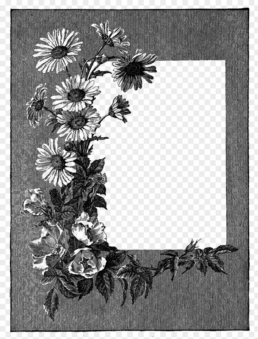 Gray Frame Picture Frames Flower Clip Art PNG