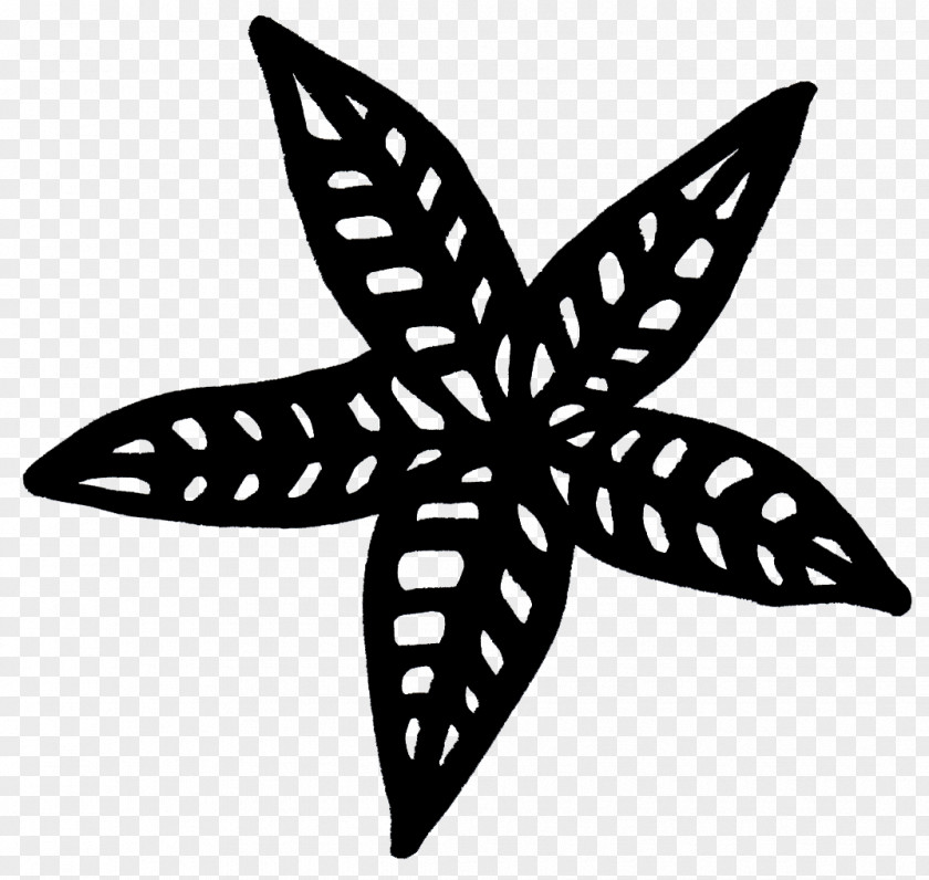 Line Symmetry Starfish Pattern PNG