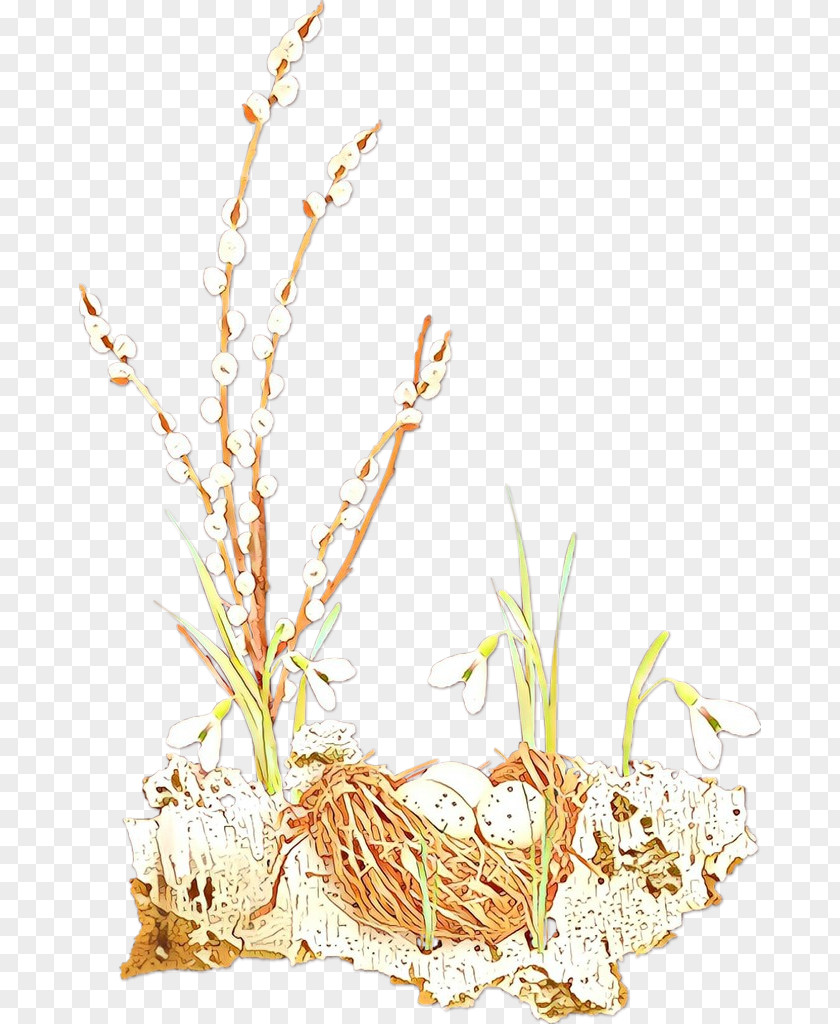 Plant Stem Grasses Grain Plants PNG