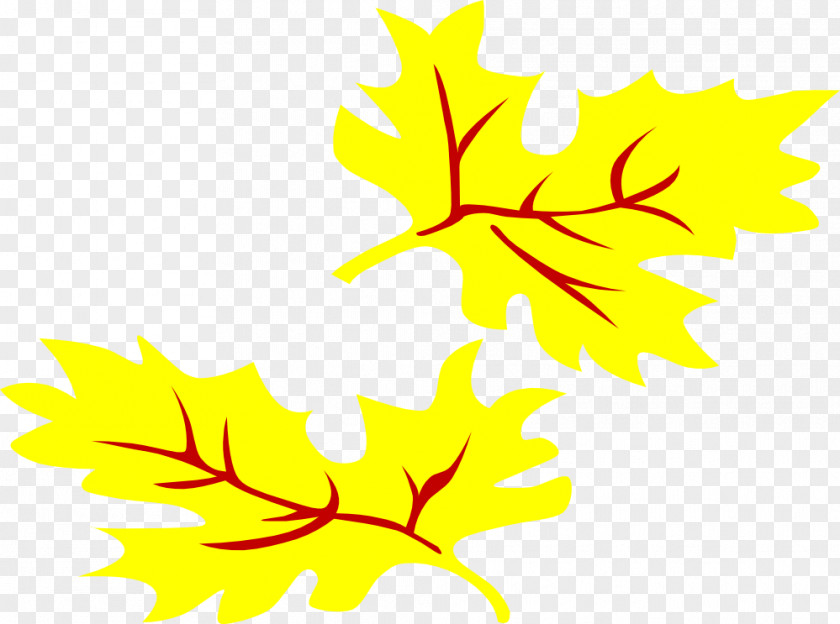 Sunflower Graphics Leaf Yellow Autumn Clip Art PNG