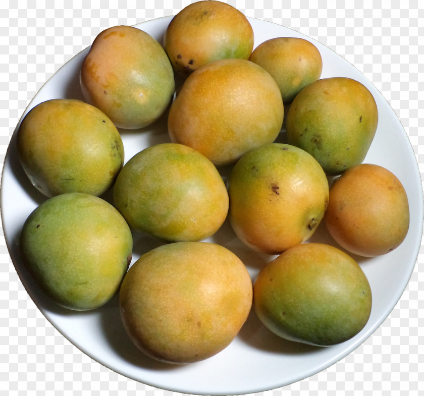 Vacation Mango Indian Cuisine Food Mangifera Indica Fruit PNG