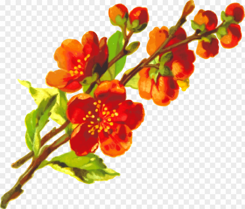 Floral Painting Flowering Plant Clip Art PNG