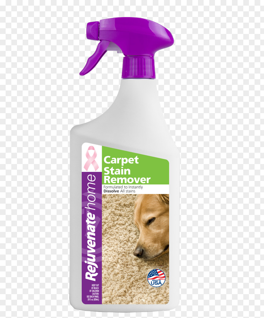 Upholstery Cleaning Floor Cleaner Furniture Lowe's PNG