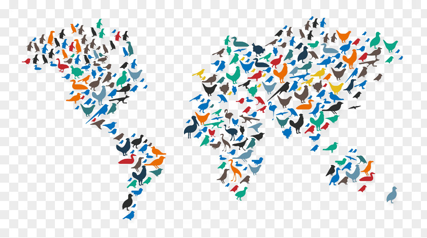 Birds World Map Vector Color Saxon Fairy Swallow Pigeon Bird PNG