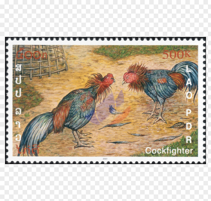 Feather Rooster Fauna Beak Chicken As Food PNG