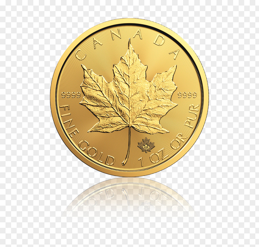 Gold Canadian Maple Leaf Silver Bullion Coin PNG