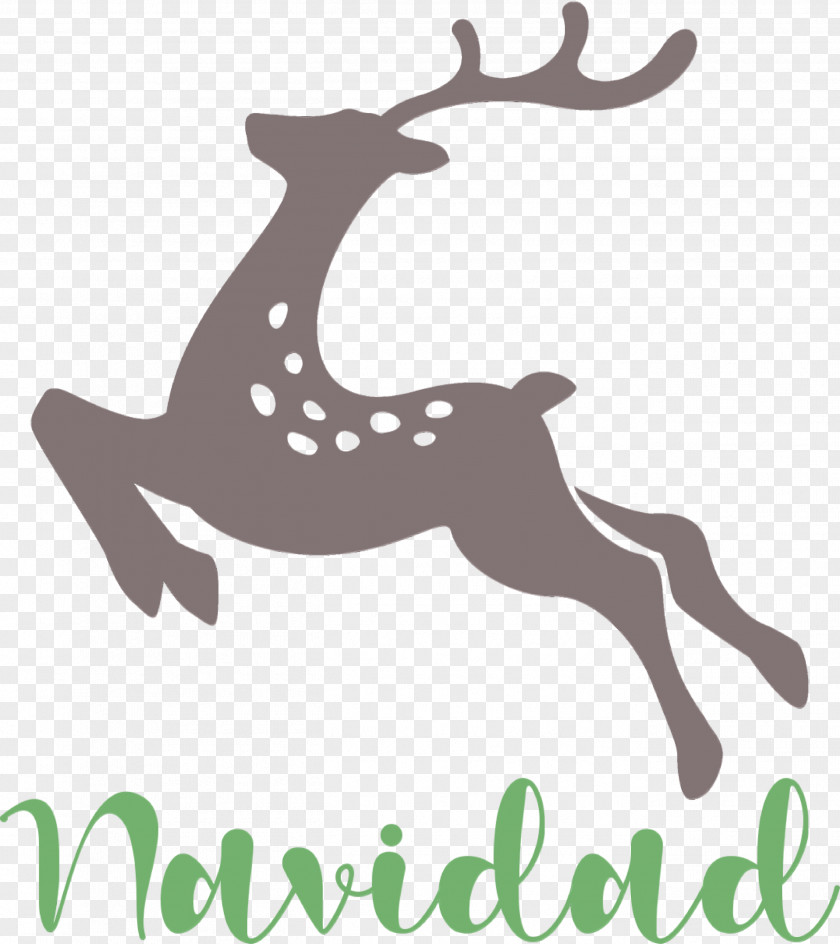 Reindeer PNG