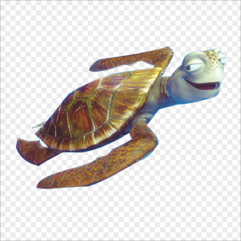 Sea Turtle Crush Finding Nemo Clip Art PNG