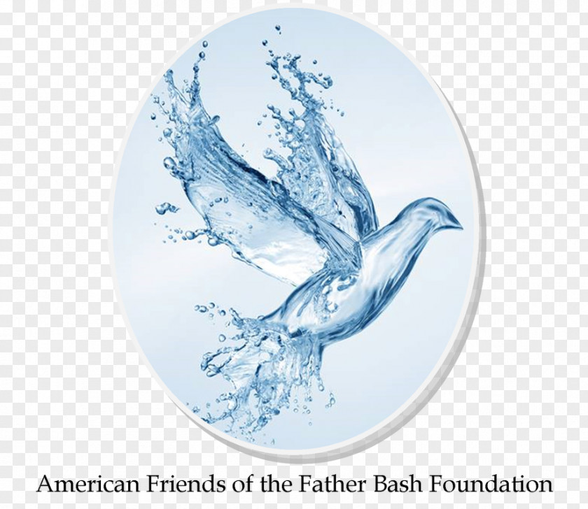 Water Saving Child Baptism Christianity Christian Church Holy Spirit Baptists PNG