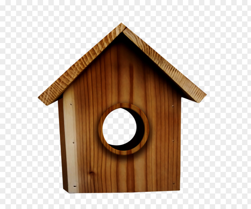 Bird Edible Bird's Nest Box PNG
