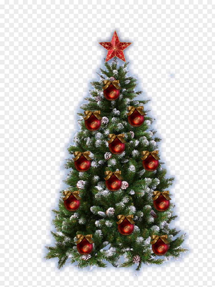 Decorate Christmas Tree Picture Frames New Year PNG