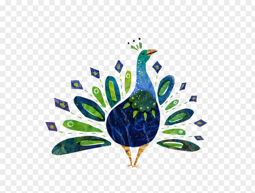 Peacock Peafowl Illustration PNG