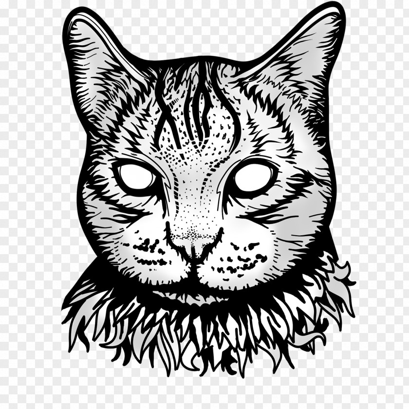 Cat Whiskers Tabby Domestic Short-haired Wildcat PNG