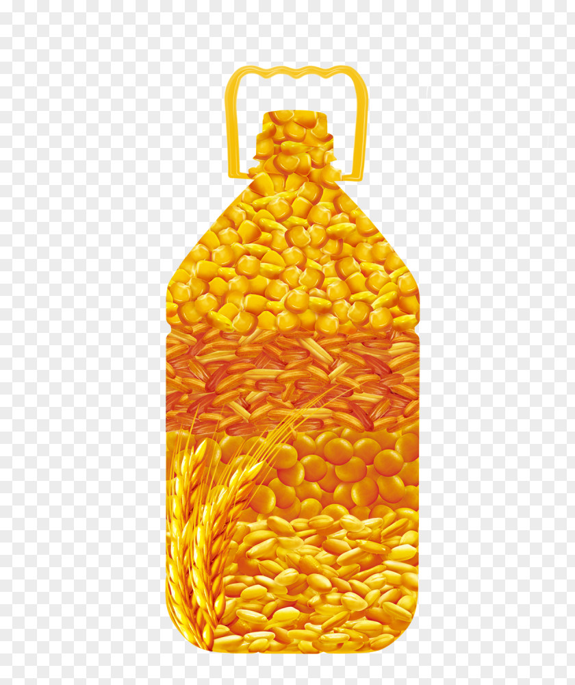 Corn Oil Soybean Maize PNG