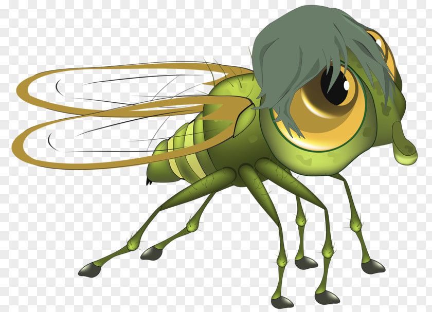 Green Flies Fly Cartoon Illustration PNG