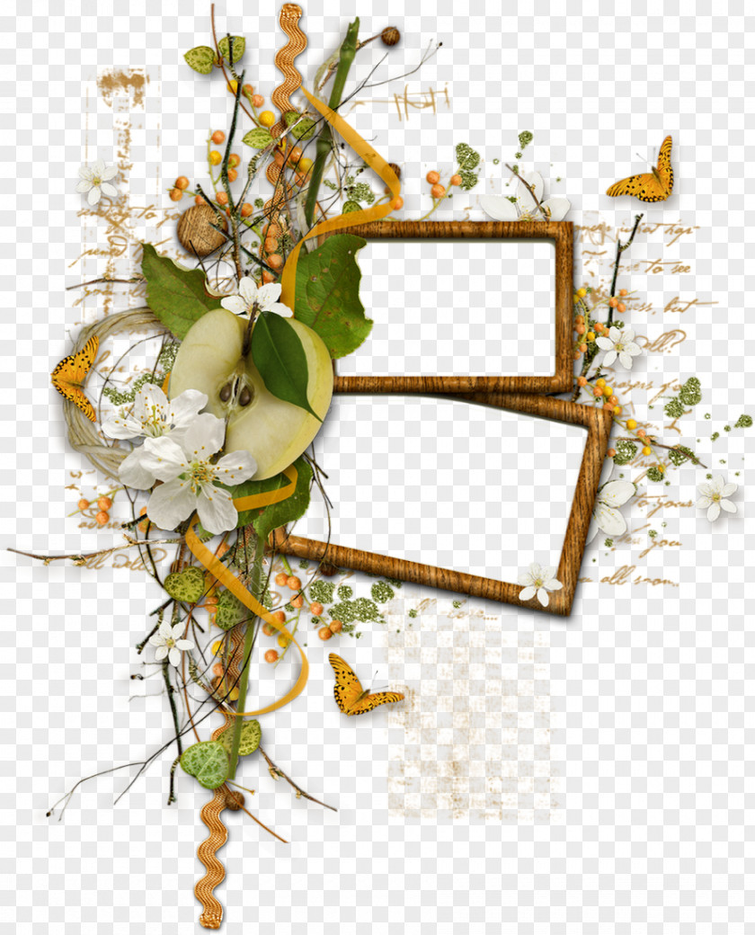 Marco Picture Frames Film Frame Photography PNG