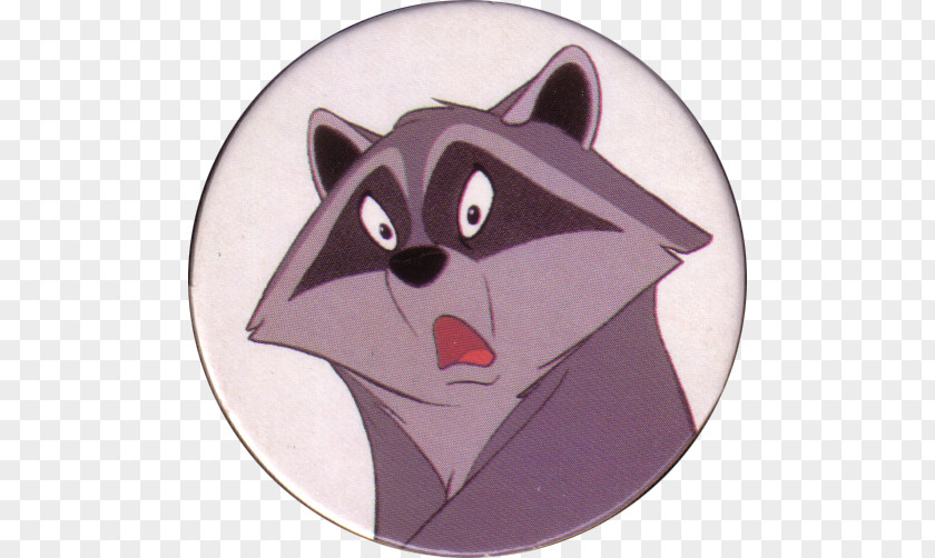 Meeko Pocahontas Whiskers Raccoon Dog PNG