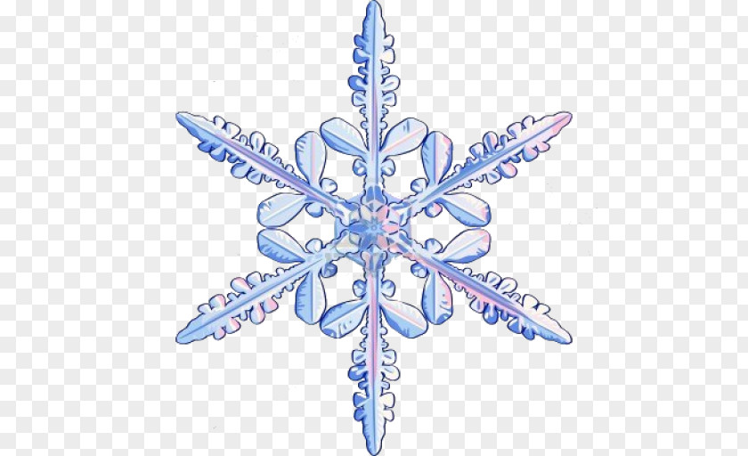 Snowflake Photography PNG