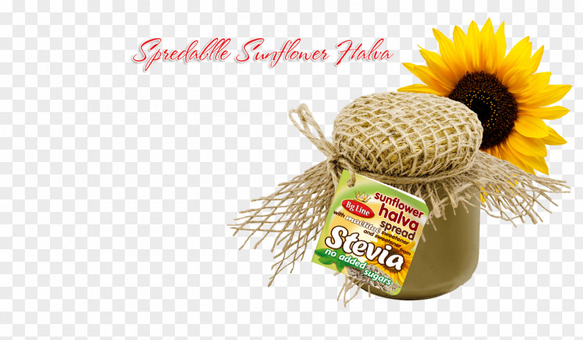Sugar Halva Waffle Candy Leaves Common Sunflower Stevia PNG