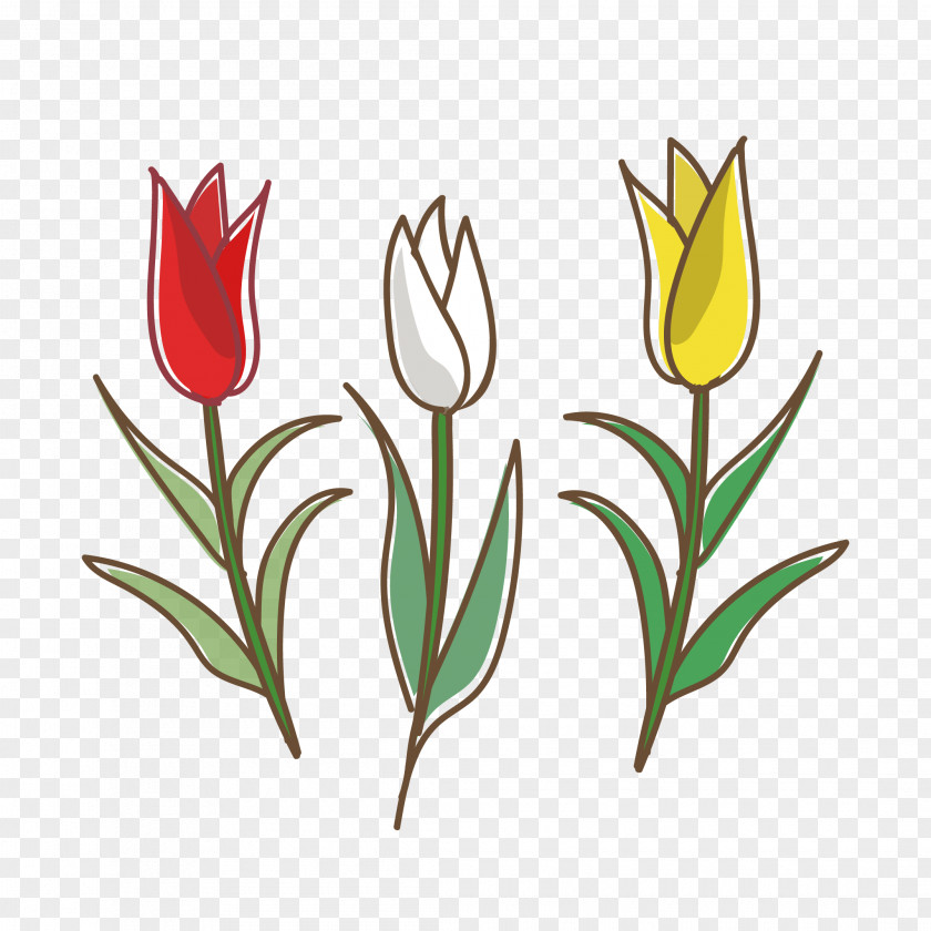 Tulip White Flower Yellow Graphics PNG