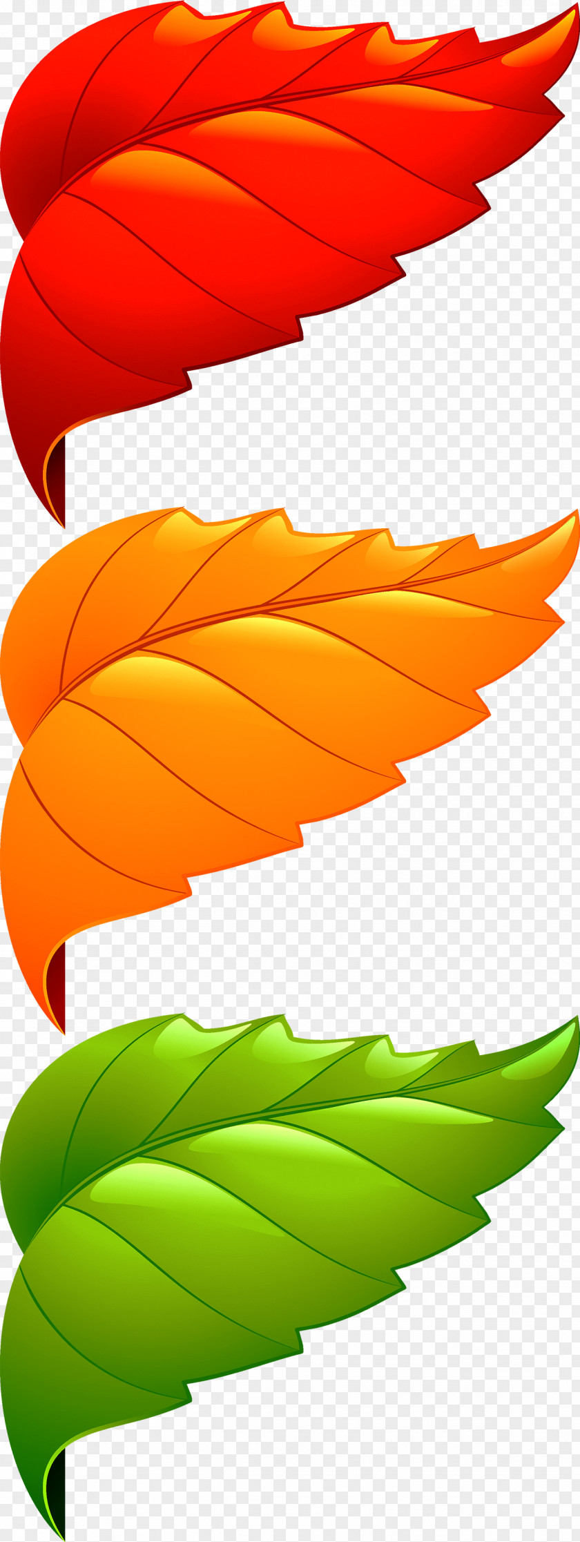 Corner Decorative Leaves Maple Leaf Adobe Illustrator PNG