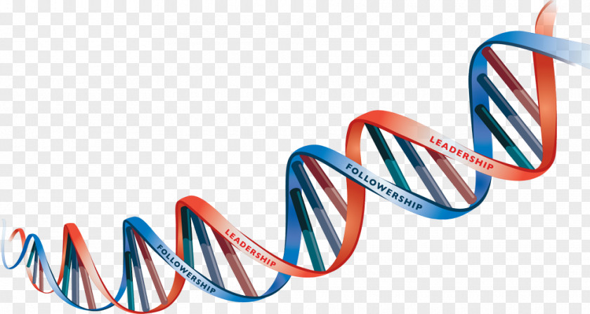 Dna Vector DNA Heredity Clip Art PNG