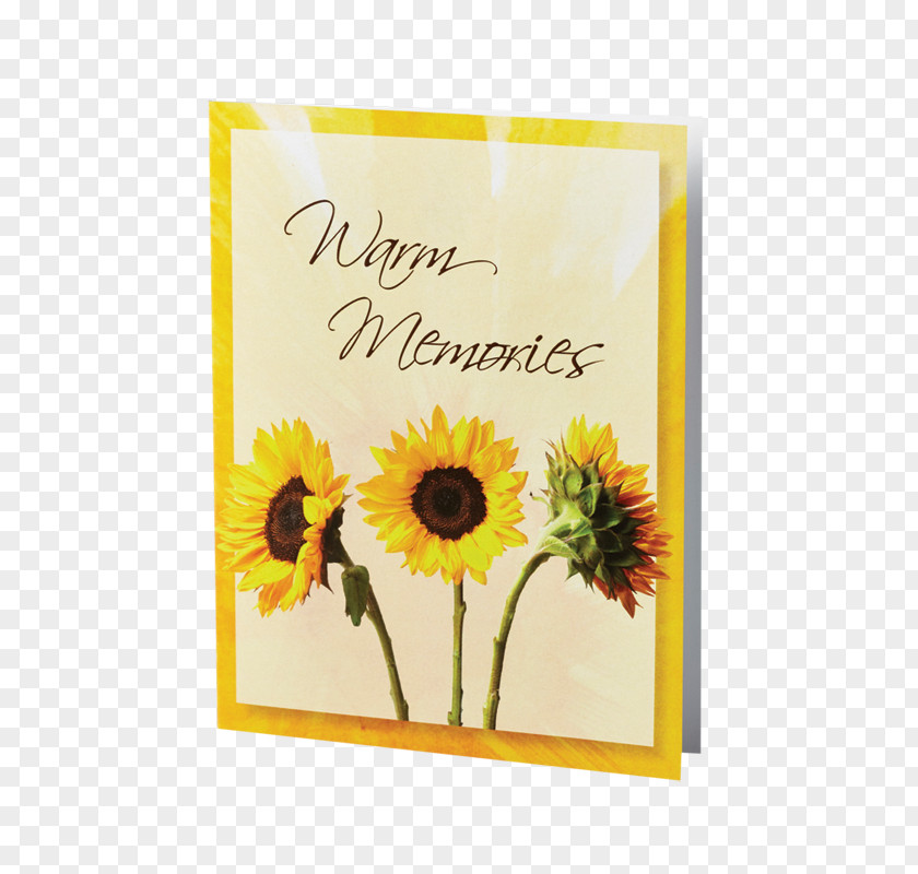 Flower Common Sunflower Stock Photography Plant Stem PNG