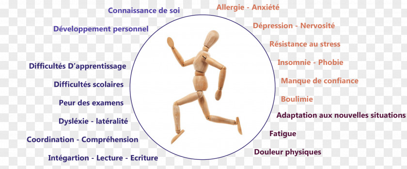 Kinésiologie Et NaturopathieHealth Elastic Therapeutic Tape Applied Kinesiology Naturopathy Christine GILET PNG