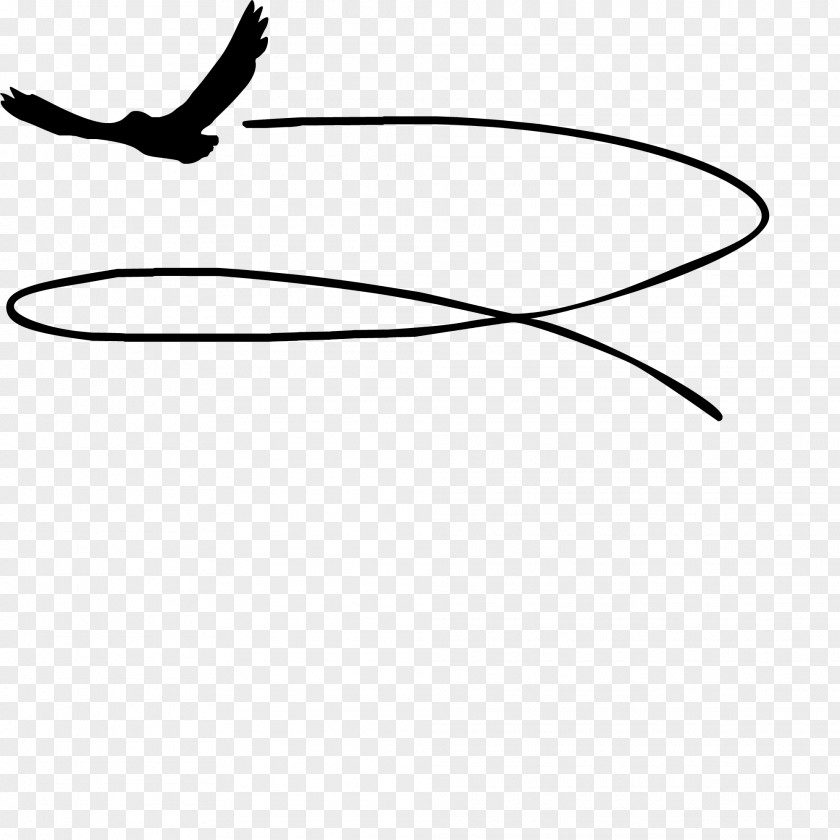 Plane Bird Of Prey Gliding Flight Wing Aile PNG