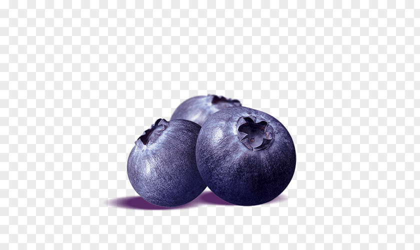 Blueberries Health Food Blueberry Fat Superfood PNG