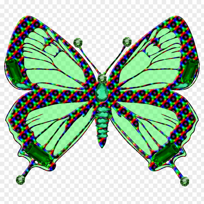 Butterfly Black And White Clip Art Image PNG