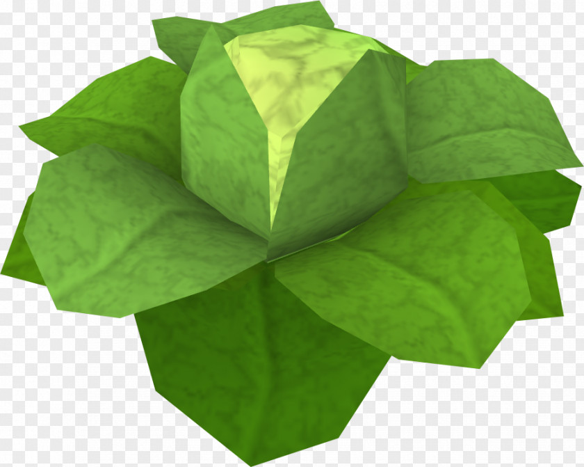 Cabbage Old School RuneScape Game Fruit Tree PNG