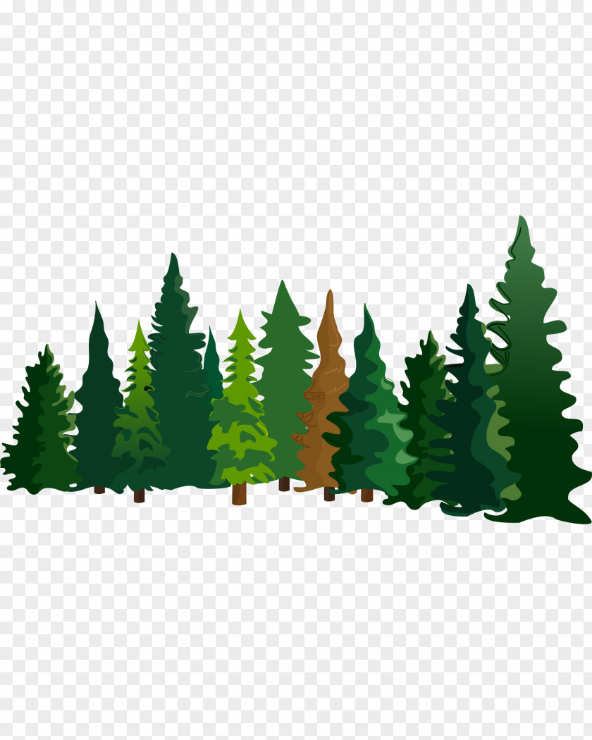 Cartoon Pine Material Fir Spruce PNG