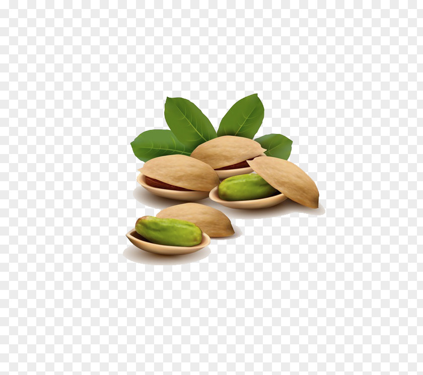 Green Pistachios Pistachio Ice Cream Nut Illustration PNG