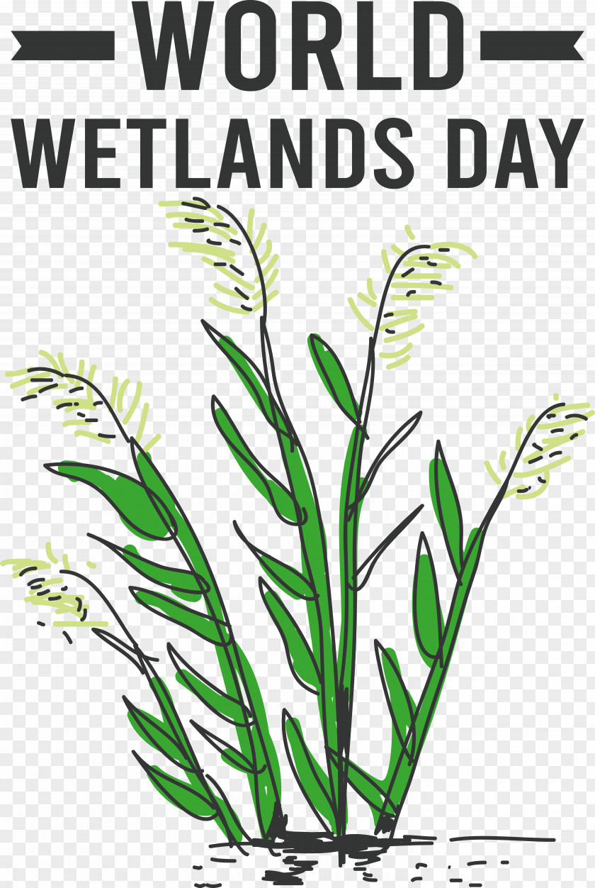 World Wetlands Day PNG