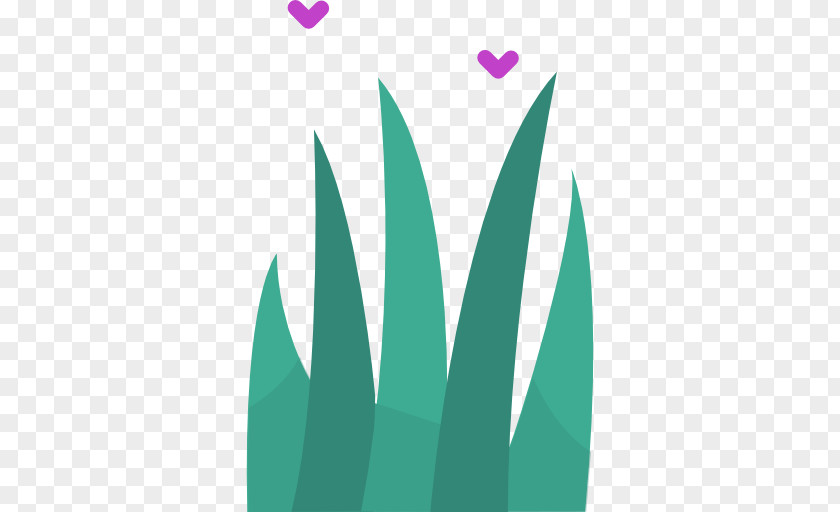 Aloe Vera Plant PNG