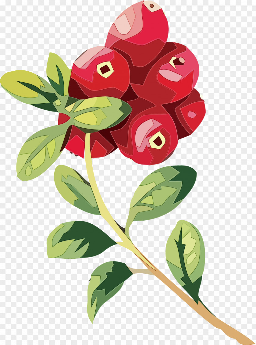 Floral Design PNG