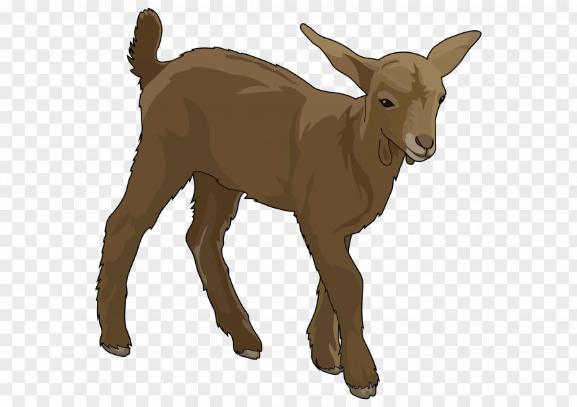 Goat Education Party Voluntary Association Cattle PNG