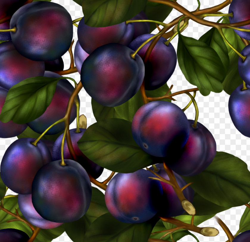 Grape Damson Auglis Fruit PNG