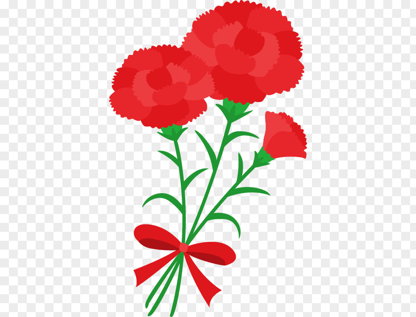 Japan Mother's Day Gift Carnation Birthday PNG