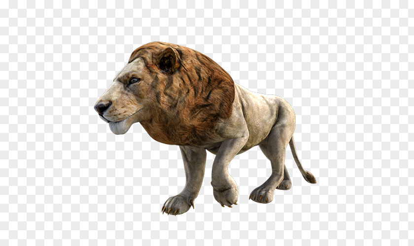 Lion Zoo Virtual Reality Odyssey Toys Cat PNG