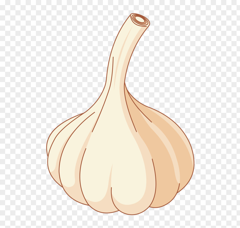 Nice Onion Shallot Download Computer File PNG