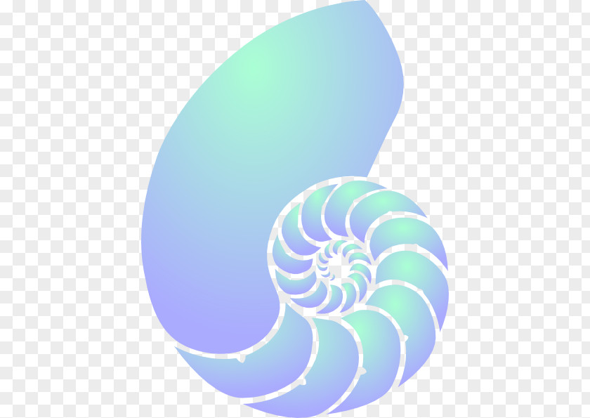Blue Shell Nautilidae Seashell Chambered Nautilus Clip Art PNG
