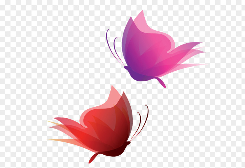 Butterfly Clip Art PNG