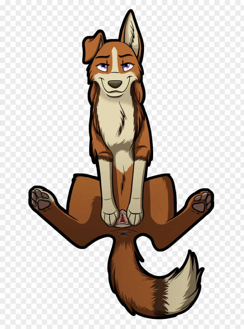 Cat Red Fox Dog Breed Clip Art PNG