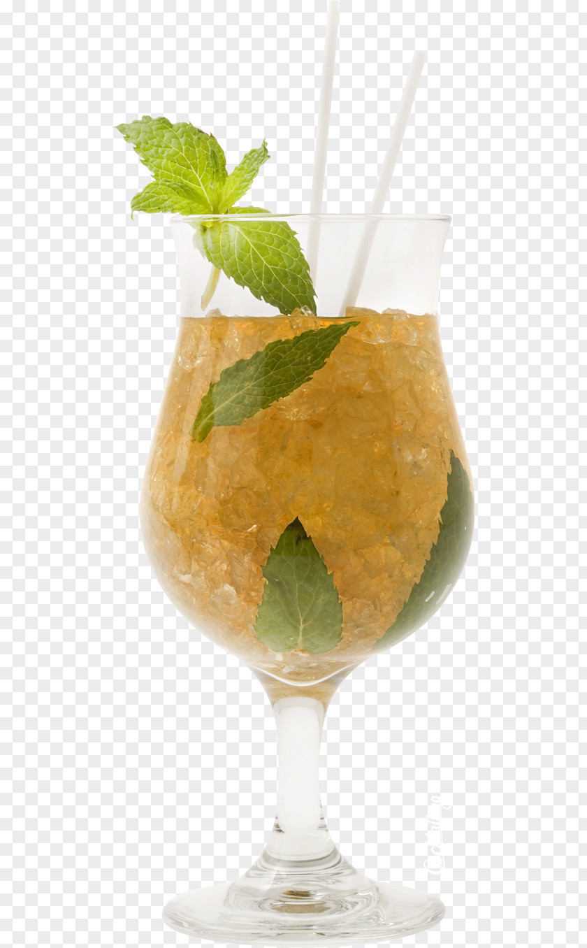 Cocktail Mint Julep Garnish Harvey Wallbanger Mai Tai PNG
