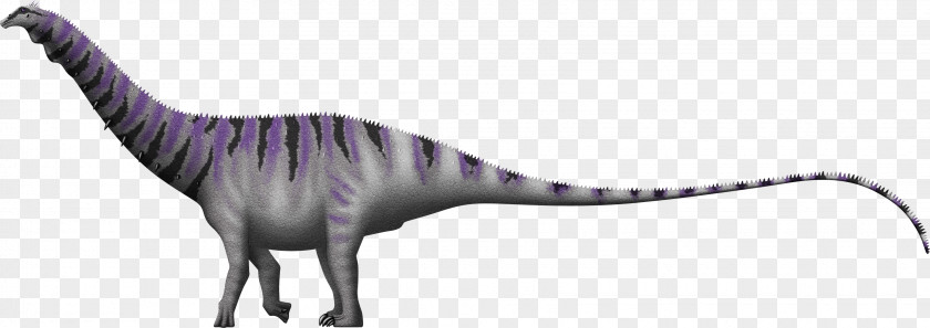 Dinosaur Brontosaurus Apatosaurus Kimmeridgian Diplodocoidea PNG