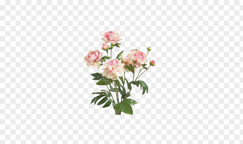 Floral Design Naver Blog PNG